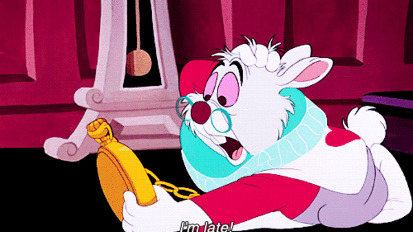 White Rabbit