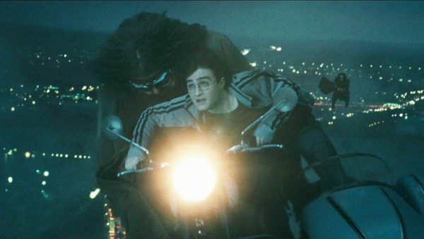 Hedwigs Death Harry Potter