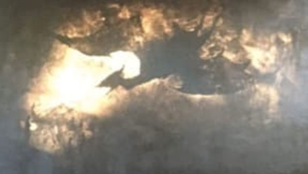Kong Skull Island Kaiju
