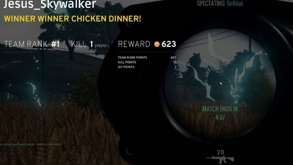 playerunknown's battlegrounds