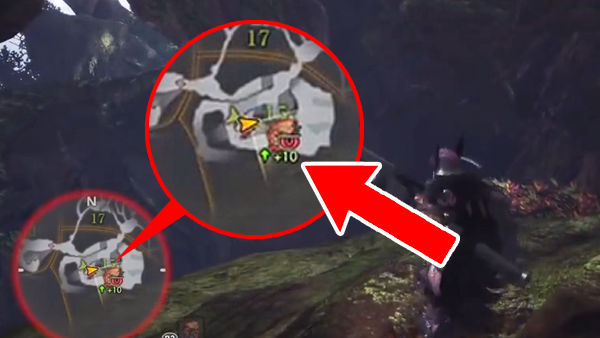 Monster Hunter World Map