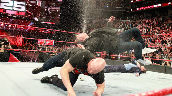Steve Austin Shane Vince McMahon