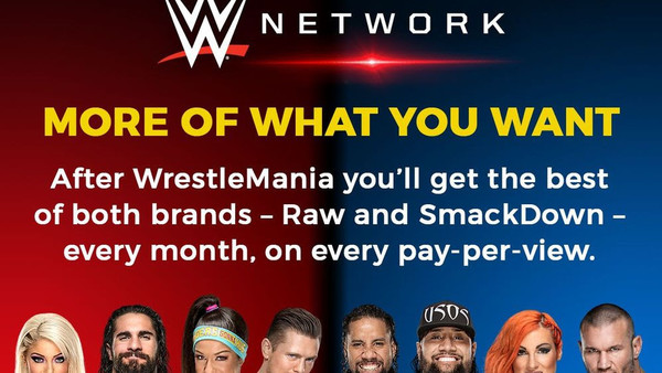 Wwe Network Brand