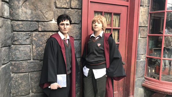 A Celebration of Harry Potter