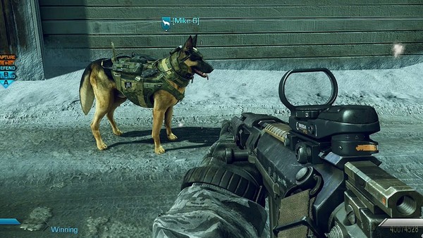 Call of Duty Ghosts