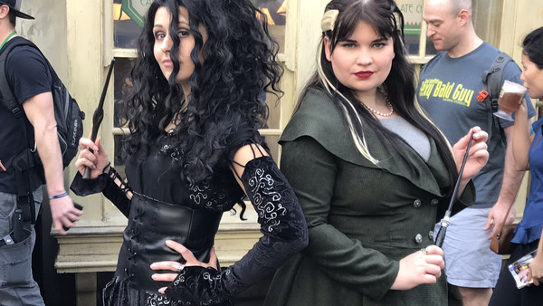 A Celebration of Harry Potter