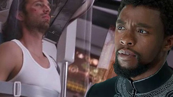 Bucky Black Panther