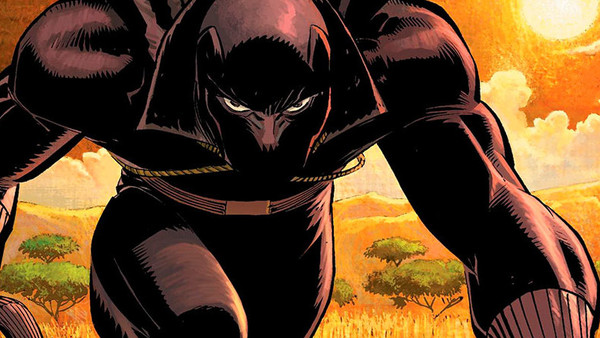 Black Panther Who Is The Black Panther