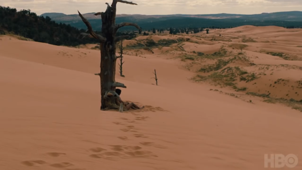 Westworld Logan