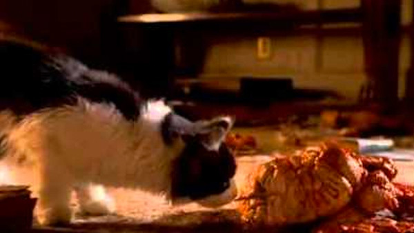 Annihilation Natalie Portman