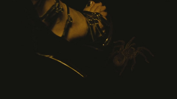 Enemy Spider