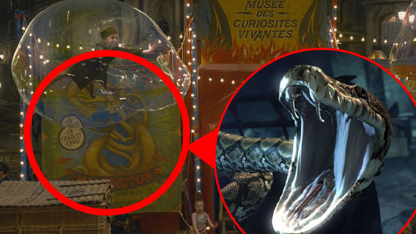 Fantastic Beasts Nagini