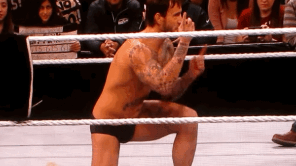 CM Punk Spinaroonie