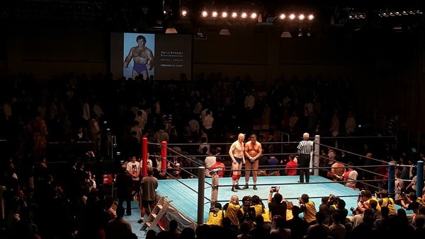 Bob Backlund Bruno Sammartino