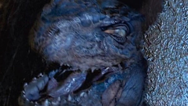 Godzilla Baby Egg