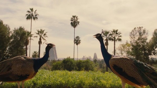 Westworld Raj World