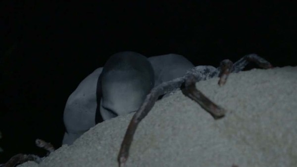 Channel Zero Candle Cove