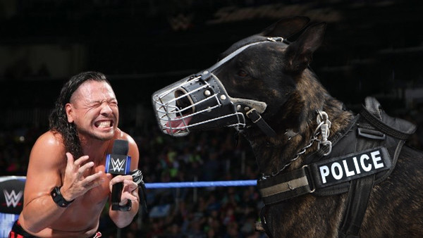 Nakamura Police Dog