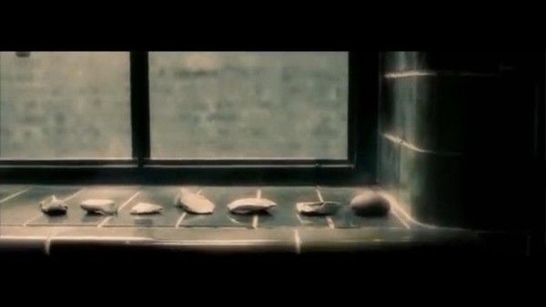 Harry Potter Seven Stones