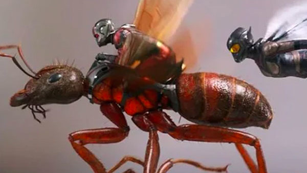 Ant Man And The Wasp