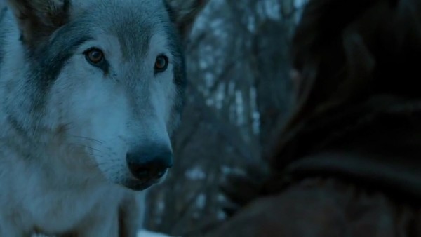 Game of Thrones Nymeria
