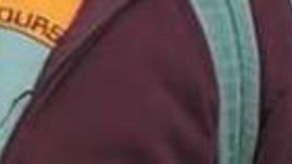 Stranger Things Dustin Steve Mind Flayer