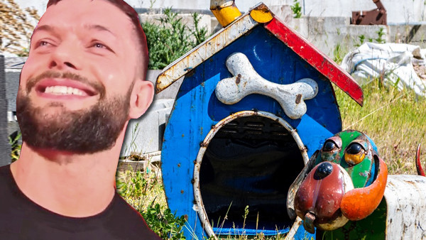 Finn Balor Doghouse