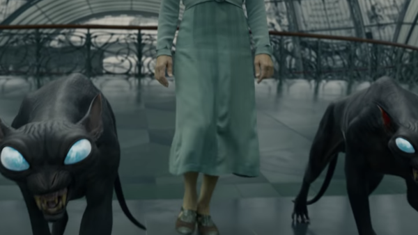 Fantastic Beasts Cat