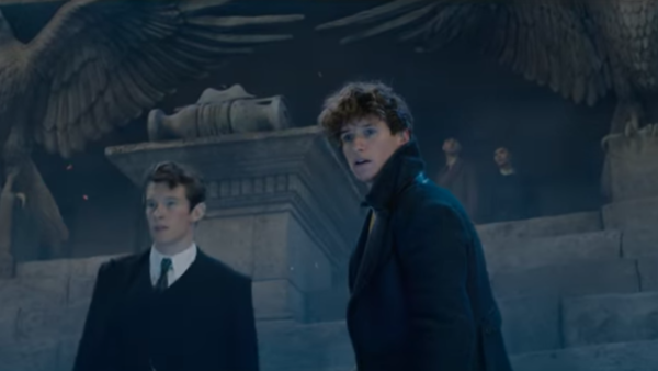 Fantastic Beasts Newt Theseus 