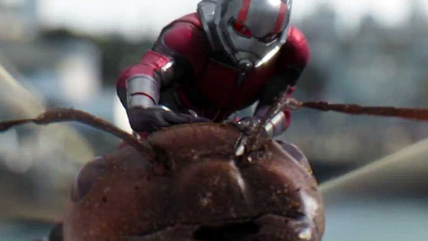 Ant Man And The Wasp Antonio Banderas