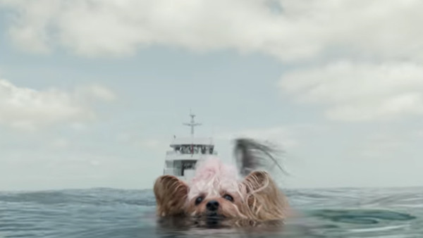 The Meg Pippin