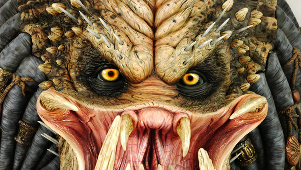 Predator Close Up
