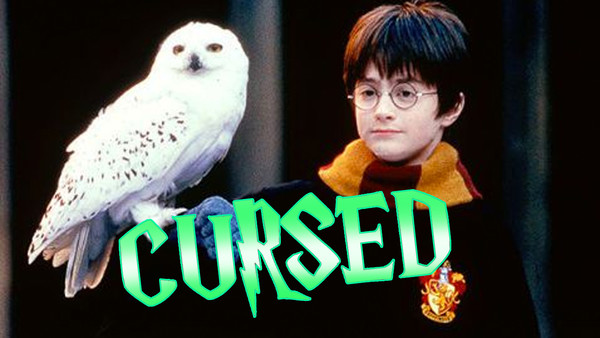 Harry Potter Hedwig