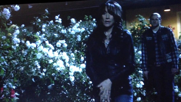 Sons Of Anarchy Jax Gemma