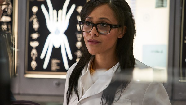 Arachnids in the UK Scientist