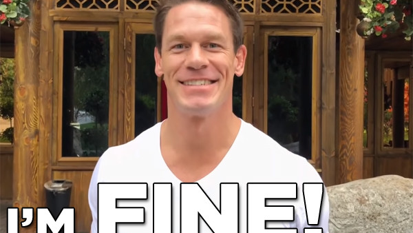 JOHN CENA Fine