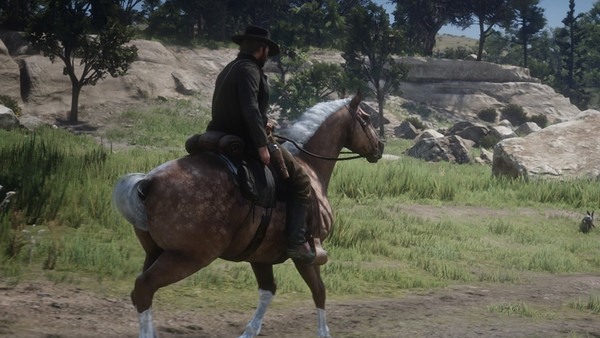 Red Dead Redemption 2