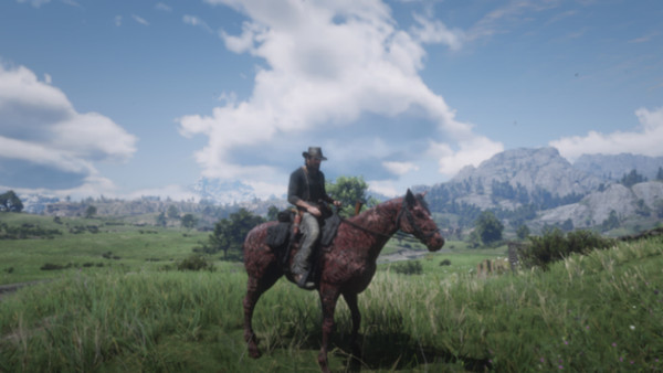 Red Dead Redemption 2 Burned Horse