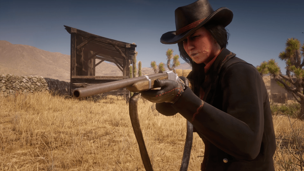 Red Dead Online Character