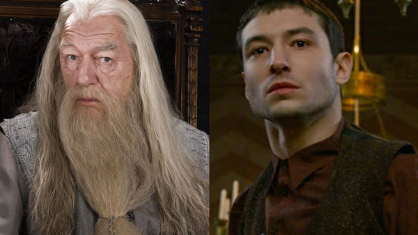 Dumbledore Credence Fantastic Beasts