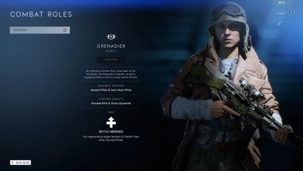 Battlefield V