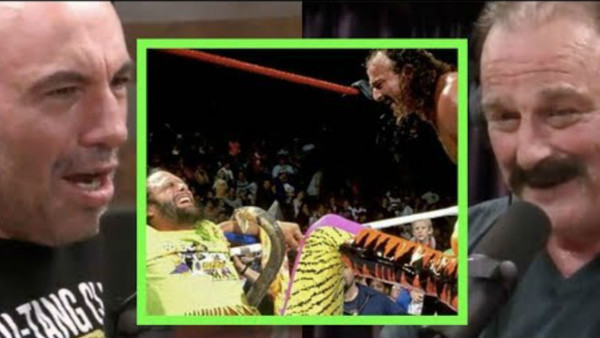 20 Things We Learned From Joe Rogan's Podcast Interview With Jake Roberts