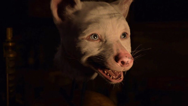 Mowgli Bhoot Dead