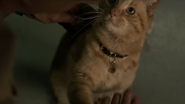 Captain Marvel Goose