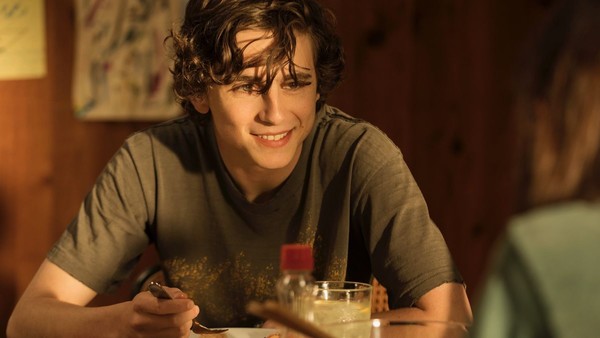 Beautiful Boy 