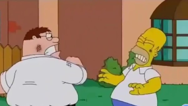 The Simpsons Family Guy