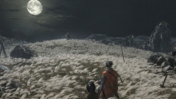 Sekiro field 