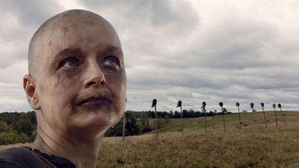 The Walking Dead Alpha Pikes