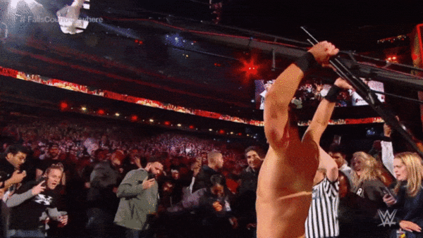 The Miz Shane McMahon
