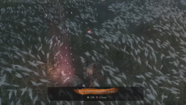 Sekiro shadows